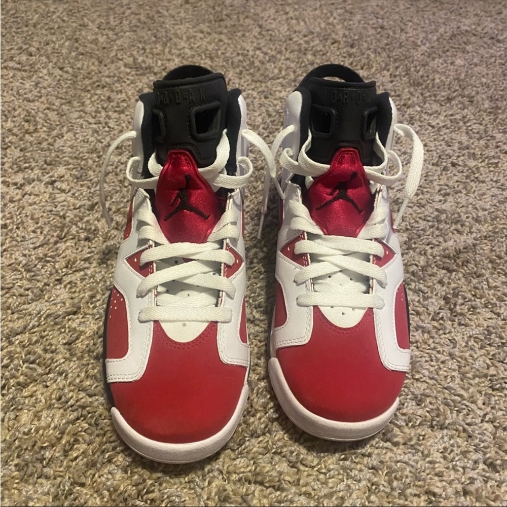 Air Jordan Retro Carmine 6